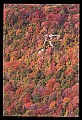 02112-00259-Blackwater Falls State Park.jpg