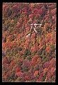 02112-00261-Blackwater Falls State Park.jpg