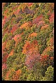 02112-00264-Blackwater Falls State Park.jpg