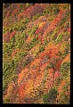 02112-00265-Blackwater Falls State Park.jpg