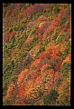 02112-00266-Blackwater Falls State Park.jpg