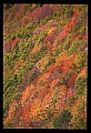 02112-00267-Blackwater Falls State Park.jpg