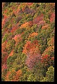 02112-00268-Blackwater Falls State Park.jpg