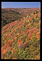 02112-00269-Blackwater Falls State Park.jpg