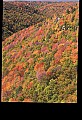 02112-00273-Blackwater Falls State Park.jpg