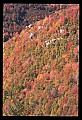 02112-00284-Blackwater Falls State Park.jpg