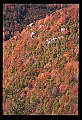 02112-00285-Blackwater Falls State Park.jpg