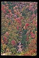 02112-00310-Blackwater Falls State Park.jpg