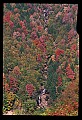 02112-00312-Blackwater Falls State Park.jpg