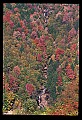 02112-00325-Blackwater Falls State Park.jpg