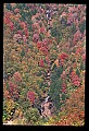 02112-00326-Blackwater Falls State Park.jpg