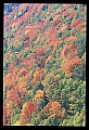 02112-00329-Blackwater Falls State Park.jpg
