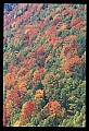 02112-00330-Blackwater Falls State Park.jpg