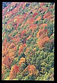 02112-00332-Blackwater Falls State Park.jpg