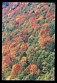 02112-00333-Blackwater Falls State Park.jpg