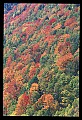 02112-00334-Blackwater Falls State Park.jpg