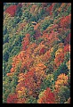 02112-00337-Blackwater Falls State Park.jpg