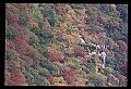 02112-00347-Blackwater Falls State Park.jpg