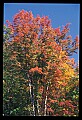 02112-00357-Blackwater Falls State Park.jpg