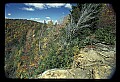 02112-00393-Blackwater Falls State Park.jpg