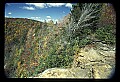 02112-00394-Blackwater Falls State Park.jpg