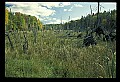 02113-00020-Canaan Valley State Park.jpg