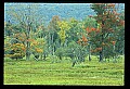 02113-00021-Canaan Valley State Park.jpg