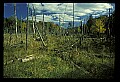 02113-00023-Canaan Valley State Park.jpg