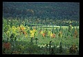 02113-00027-Canaan Valley State Park.jpg