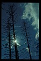 02113-00028-Canaan Valley State Park.jpg