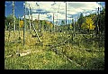 02113-00031-Canaan Valley State Park.jpg