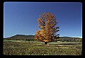 02113-00043-Canaan Valley State Park.jpg