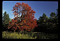 02113-00046-Canaan Valley State Park.jpg