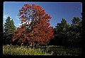 02113-00047-Canaan Valley State Park.jpg