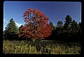 02113-00048-Canaan Valley State Park.jpg