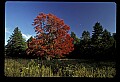 02113-00049-Canaan Valley State Park.jpg