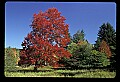 02113-00050-Canaan Valley State Park.jpg