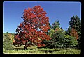 02113-00051-Canaan Valley State Park.jpg