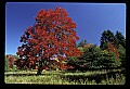 02113-00052-Canaan Valley State Park.jpg