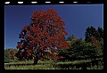 02113-00053-Canaan Valley State Park.jpg