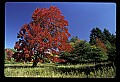02113-00054-Canaan Valley State Park.jpg