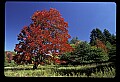 02113-00055-Canaan Valley State Park.jpg