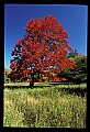 02113-00056-Canaan Valley State Park.jpg