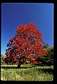 02113-00057-Canaan Valley State Park.jpg