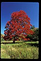 02113-00059-Canaan Valley State Park.jpg