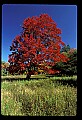 02113-00060-Canaan Valley State Park.jpg