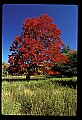 02113-00061-Canaan Valley State Park.jpg