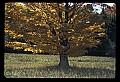 02113-00063-Canaan Valley State Park.jpg