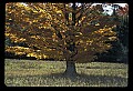 02113-00063-Canaan Valley State Park.jpg