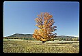 02113-00065-Canaan Valley State Park.jpg